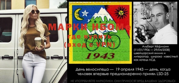 шишки Армянск