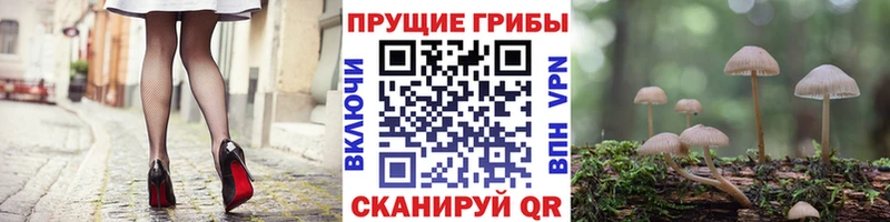 продажа наркотиков Реутов Псилоцибиновые грибы ЛСД